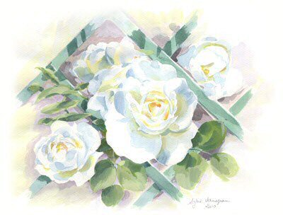 Roses Iceberg